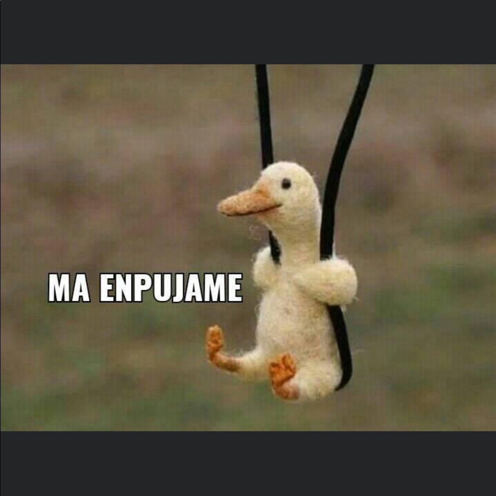 Meet your Posher, Yanet